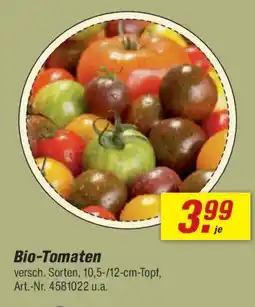 toom Baumarkt Bio-Tomaten Angebot