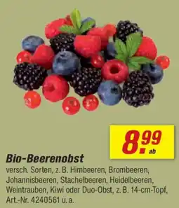 toom Baumarkt Bio-Beerenobst Angebot
