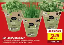 toom Baumarkt Bio-Küchenkräuter Angebot