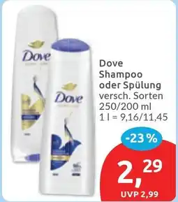 Budni Dove Shampoo oder Spülung Angebot