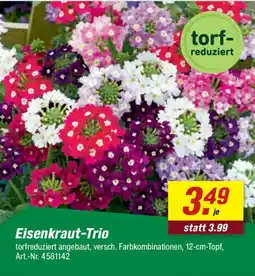 toom Baumarkt Eisenkraut-Trio Angebot