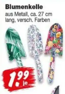 Repo Markt Blumenkelle Angebot