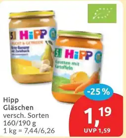 Budni Hipp Gläschen Angebot
