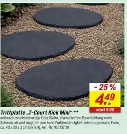 toom Baumarkt Trittplatte „T-Court Kick Mini“ Angebot