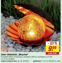 toom Baumarkt Solar-Dekolicht ,,Muschel" Angebot