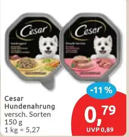 Budni Cesar Hundenahrung Angebot