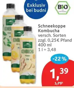Budni Schneekoppe Kombucha Angebot