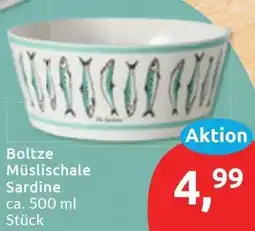 Budni Boltze Müslischale Sardine Angebot