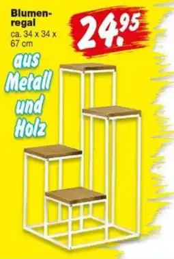 Repo Markt Blumenregal Angebot
