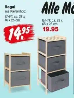 Repo Markt Regal Angebot
