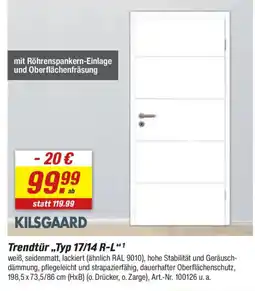 toom Baumarkt KILSGAARD Trendtür „Typ 17/14 R-L" Angebot