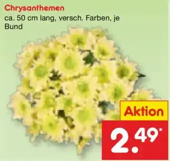 Netto Marken-Discount Chrysanthemen Angebot