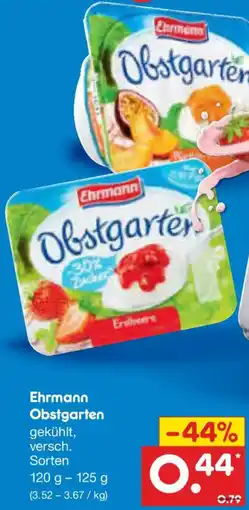 Netto Marken-Discount Ehrmann Obstgarten Angebot