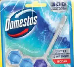 Netto Marken-Discount Domestos WC-Stein Angebot