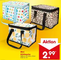 Netto Marken-Discount Mini Kühltasche Angebot