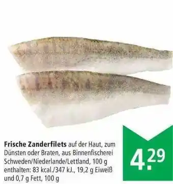 Marktkauf Frische Zanderfilets Angebot