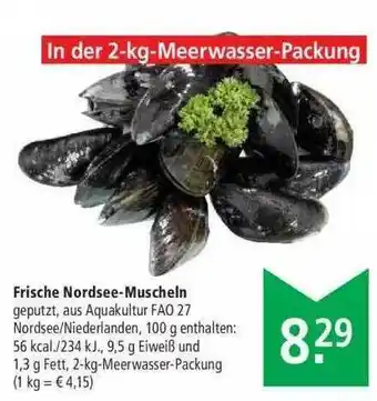 Marktkauf Frische Nordsee-muscheln Angebot