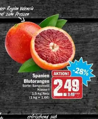 dodenhof Spanien Blutorangen Angebot