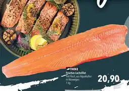 CITTI Markt Frisches Lachsfilet Angebot