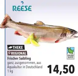 CITTI Markt REESE Frischer Saibling Angebot