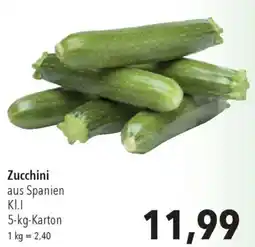 CITTI Markt Zucchini Angebot