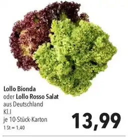 CITTI Markt Lollo Bionda oder Lollo Rosso Salat Angebot