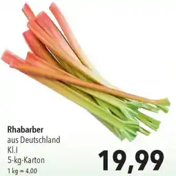 CITTI Markt Rhabarber Angebot