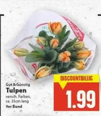 E-Center Gut & Günstig Tulpen Angebot