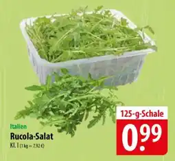 Famila Nord Ost Italien Rucola-Salat Angebot