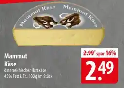 Famila Nord Ost Mammut Käse Angebot
