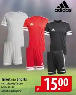 Famila Nord Ost adidas Trikot oder Shorts Angebot