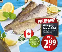 Famila Nord Ost Winnipeg- Zander-Filet Angebot