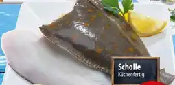 Famila Nord Ost Scholle Küchenfertig Angebot