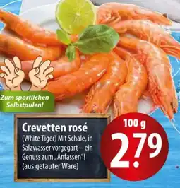 Famila Nord Ost Crevetten rosé Angebot