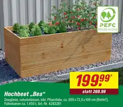 toom Baumarkt Hochbeet ,,Bea" Angebot