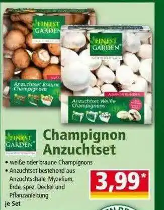 Norma Champignon Anzuchtset Finest Garden Angebot