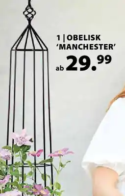 Dehner Obelisk 'manchester' Angebot