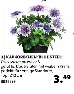 Dehner Kapkörbchen 'blue steel' Angebot