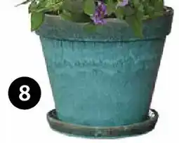 Dehner Pflanztopf 'leoni' Angebot