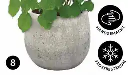 Dehner Pflanztopf 'balloon stone' Angebot