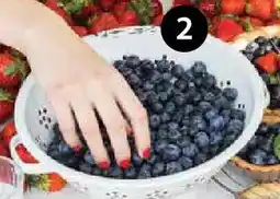 Dehner Heidelbeeren Angebot