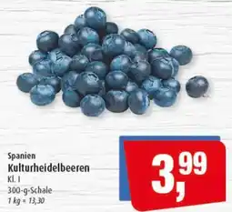 Markant Kulturheidelbeeren Angebot