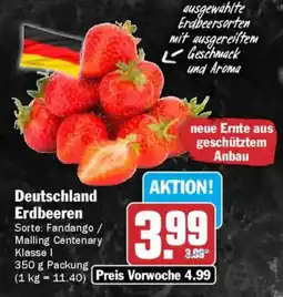 AEZ Deutschland Erdbeeren Angebot