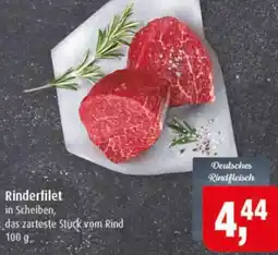 Markant Rinderfilet Angebot
