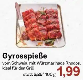 AEZ Gyrosspieße Angebot