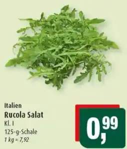 Markant Rucola Salat Angebot