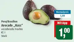 Markant Peru/Brasilien Avocado,,Hass" Angebot