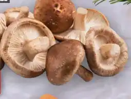 Handelshof Shiitake Pilze Angebot