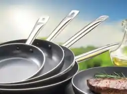 Handelshof Carl Schmidt Sohn Pfannen Solaris Pro 24cm Angebot