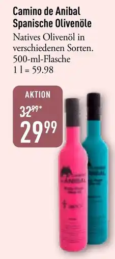 Galeria Markthalle Camino de Anibal Spanische Olivenöle Angebot